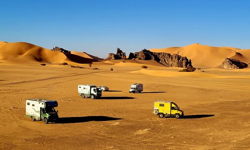 Open Doors am 28. &amp; 29 März 2026 bei Tartaruga