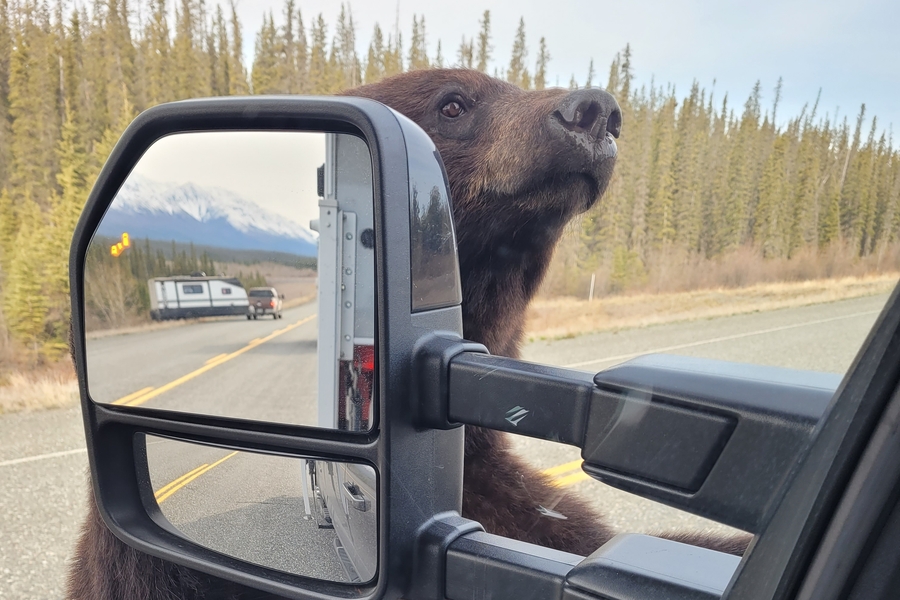 Fotowettbewerb, aufgenommen in Kanada