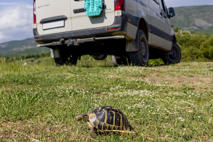 Fotowettbewerb, aufgenommen in Fishtë (Albanien)