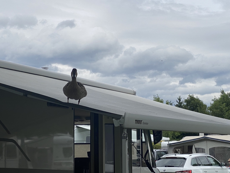 Fotowettbewerb, aufgenommen in TCS Campingplatz Solothurn