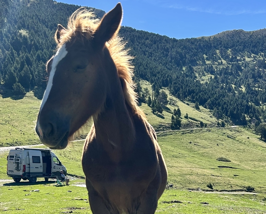 Fotowettbewerb, aufgenommen in Alins (Spanien)